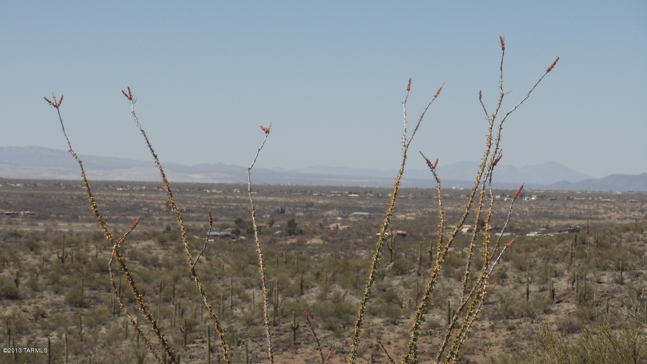 15115 East Rincon Creek Ranch Tucson, AZ 85747 - Photo 7 of 23 Gallery Image 7