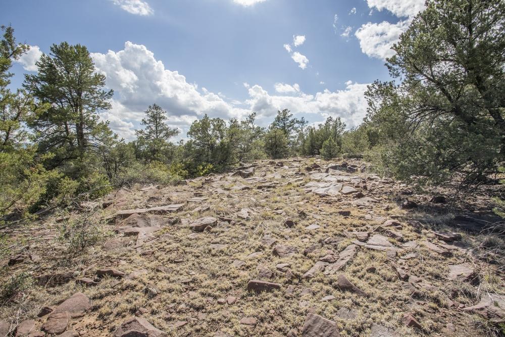1200 West Airport Road Payson, AZ 85541 - Photo 18 of 50