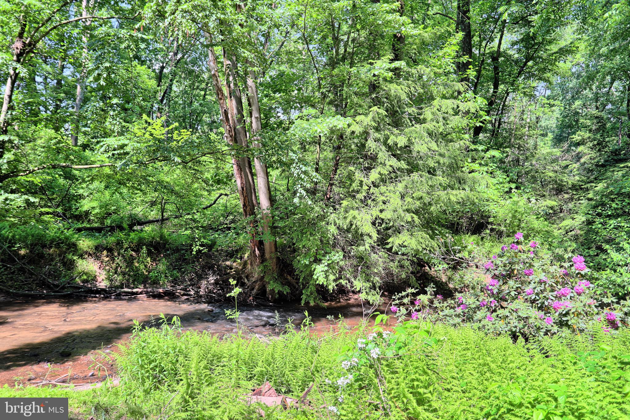 140 Hunters Church Road Liverpool, PA 17045 - Photo 45 of 55 Beautiful Stream
