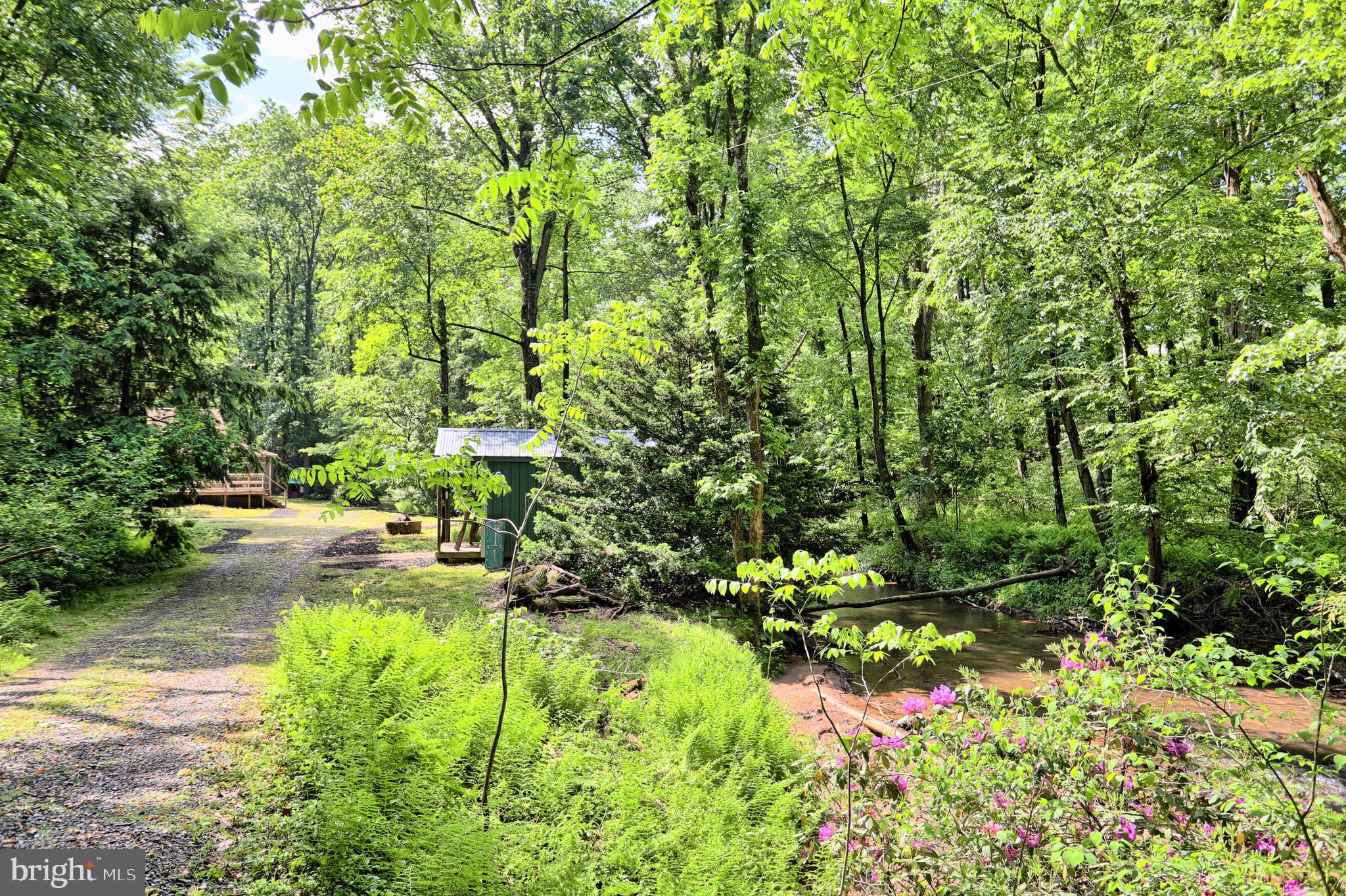 140 Hunters Church Road Liverpool, PA 17045 - Photo 49 of 55 Driveway Leading Back to Cabin