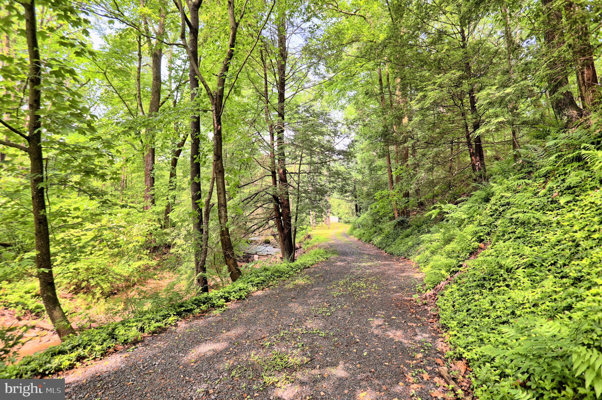 140 Hunters Church Road Liverpool, PA 17045 - Photo 51 of 55 Driveway to Cabin