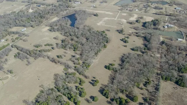 a view of a dry yard