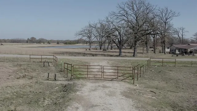 a view of a field with a tree