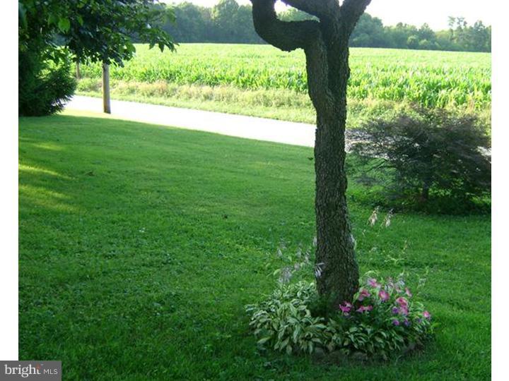 256 Ridge Road Spring City, PA 19475 - Photo 6 of 19