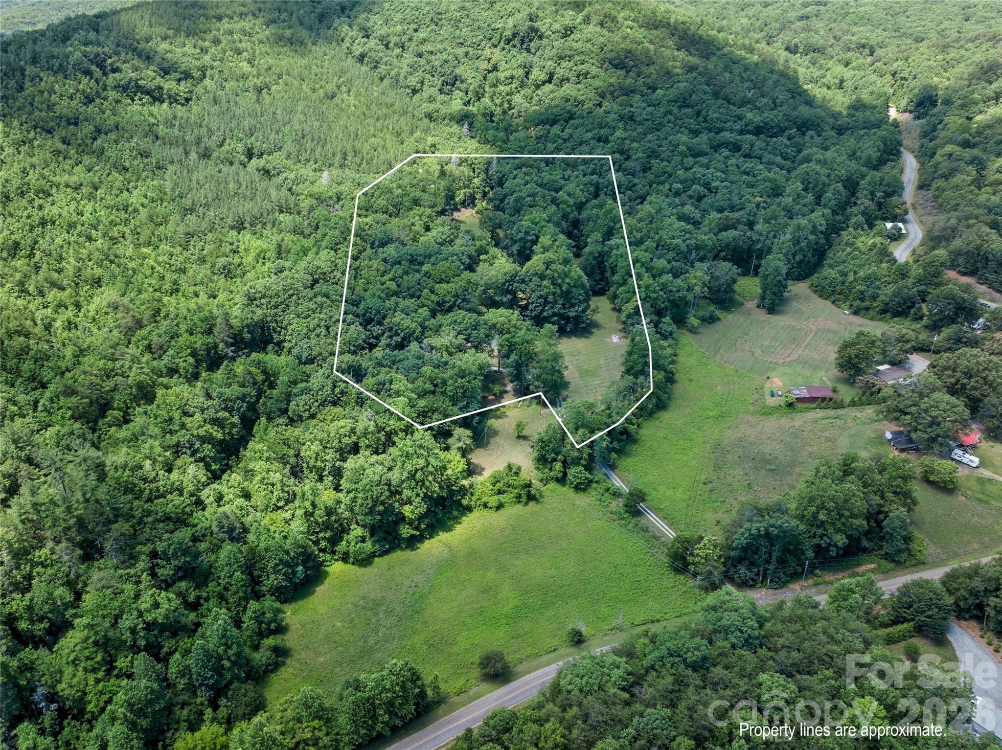 563 Burgess Road Mill Spring, NC 28756 - Photo 37 of 43