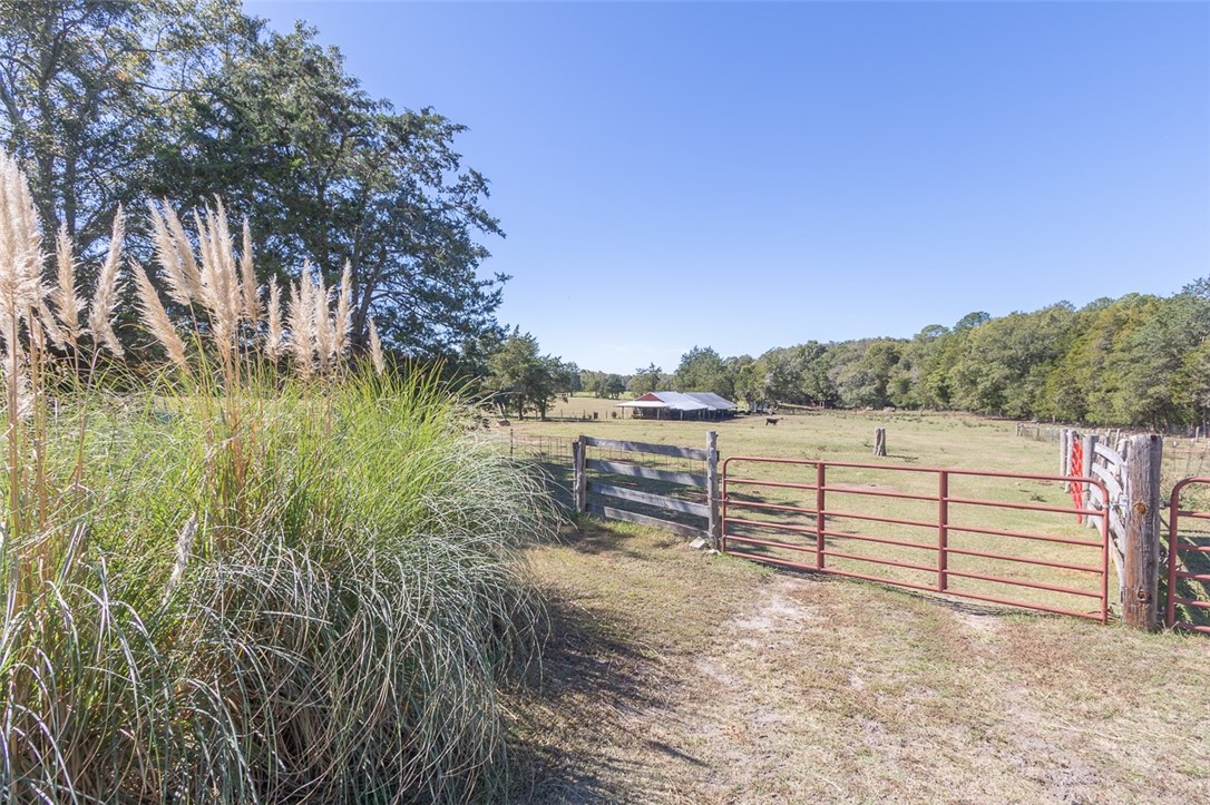 2008 Flat Rock Road Starr, SC 29684 - Photo 15 of 46