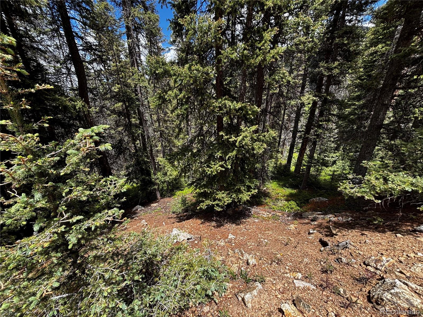 0 Forbes Road San Luis, CO 81152 - Photo 1 of 9