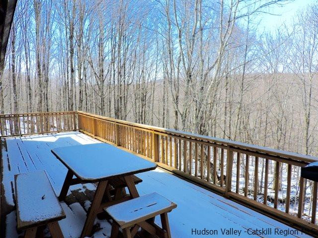 318 John B Hewitt Road Roxbury, NY 12421 - Photo 3 of 35 Photo 3