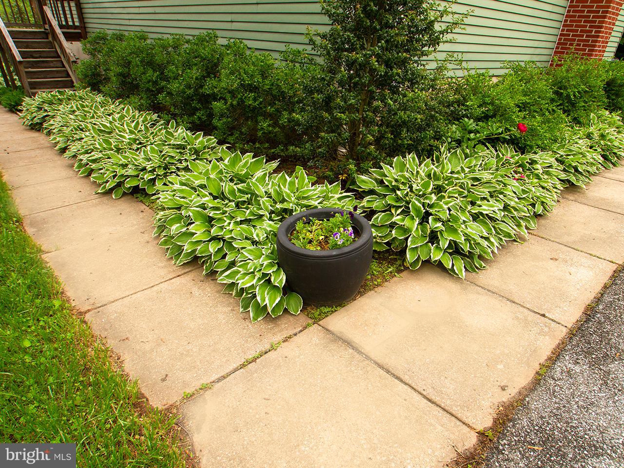 17521 Troyer Road Monkton, MD 21111 - Photo 24 of 29 a view of a garden with plants and large trees