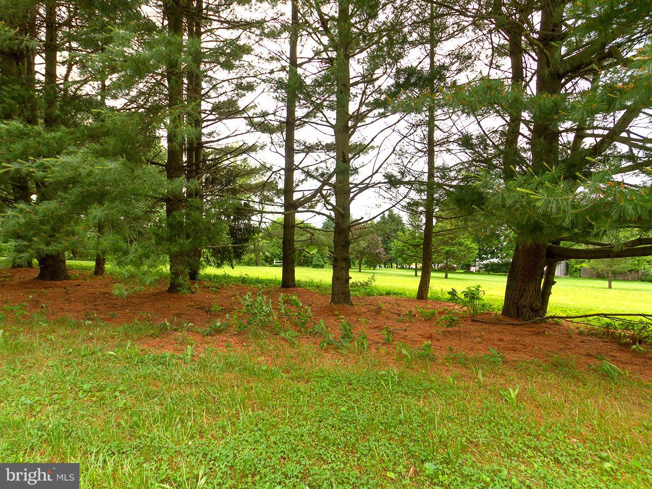 17521 Troyer Road Monkton, MD 21111 - Photo 27 of 29 a view of back yard