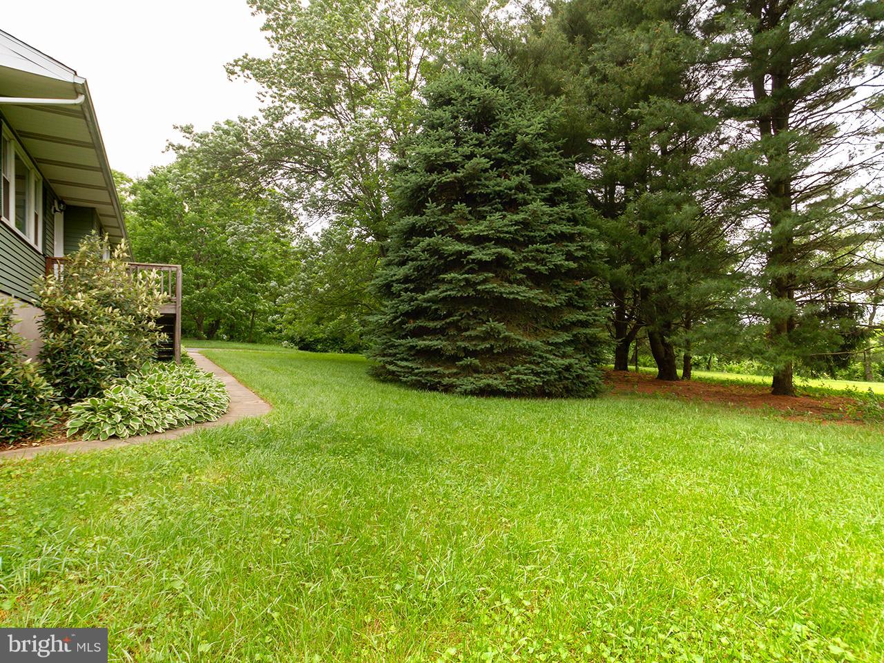 17521 Troyer Road Monkton, MD 21111 - Photo 28 of 29 a view of a backyard with large trees