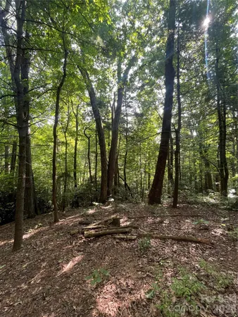 a view of outdoor space with trees all around