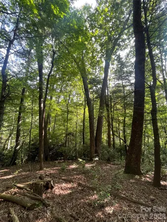 a view of outdoor space with lots of trees