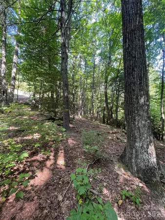 a view of outdoor space and trees