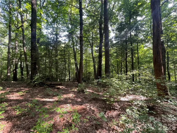 a view of outdoor space with lots of trees