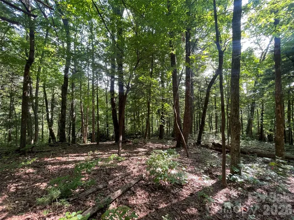a view of outdoor space with lots of green space and trees