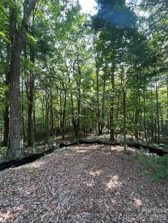 a view of outdoor space with trees