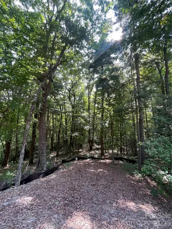 a view of outdoor space and tree