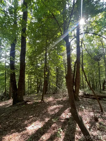 a view of outdoor space and trees