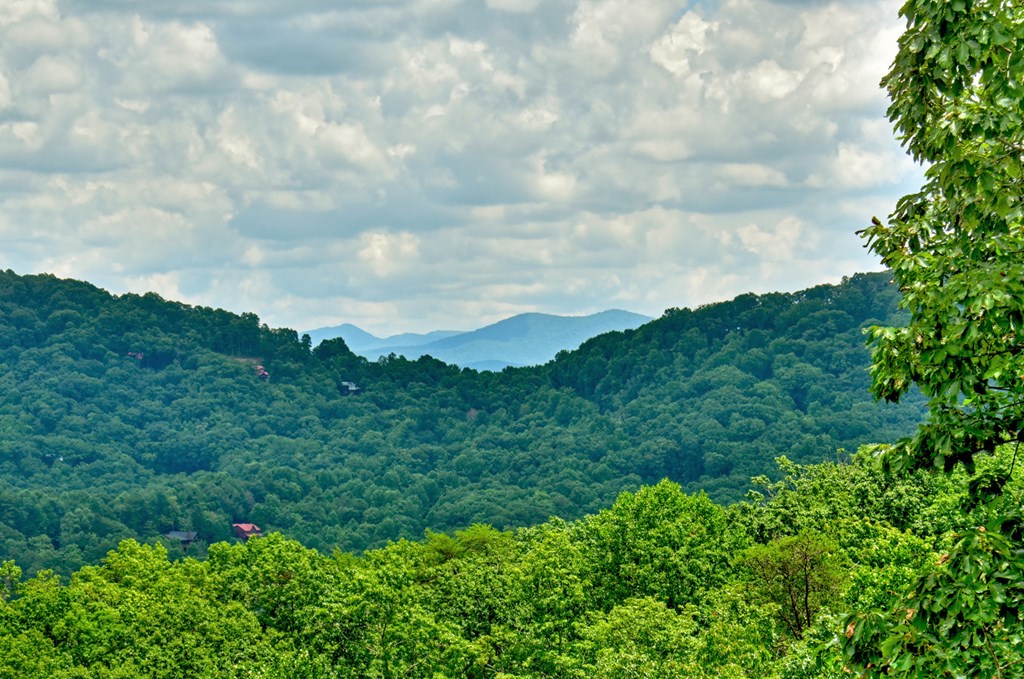 250 Deer Crest Blue Ridge, GA 30513 - Photo 59 of 75 Gallery Image 59