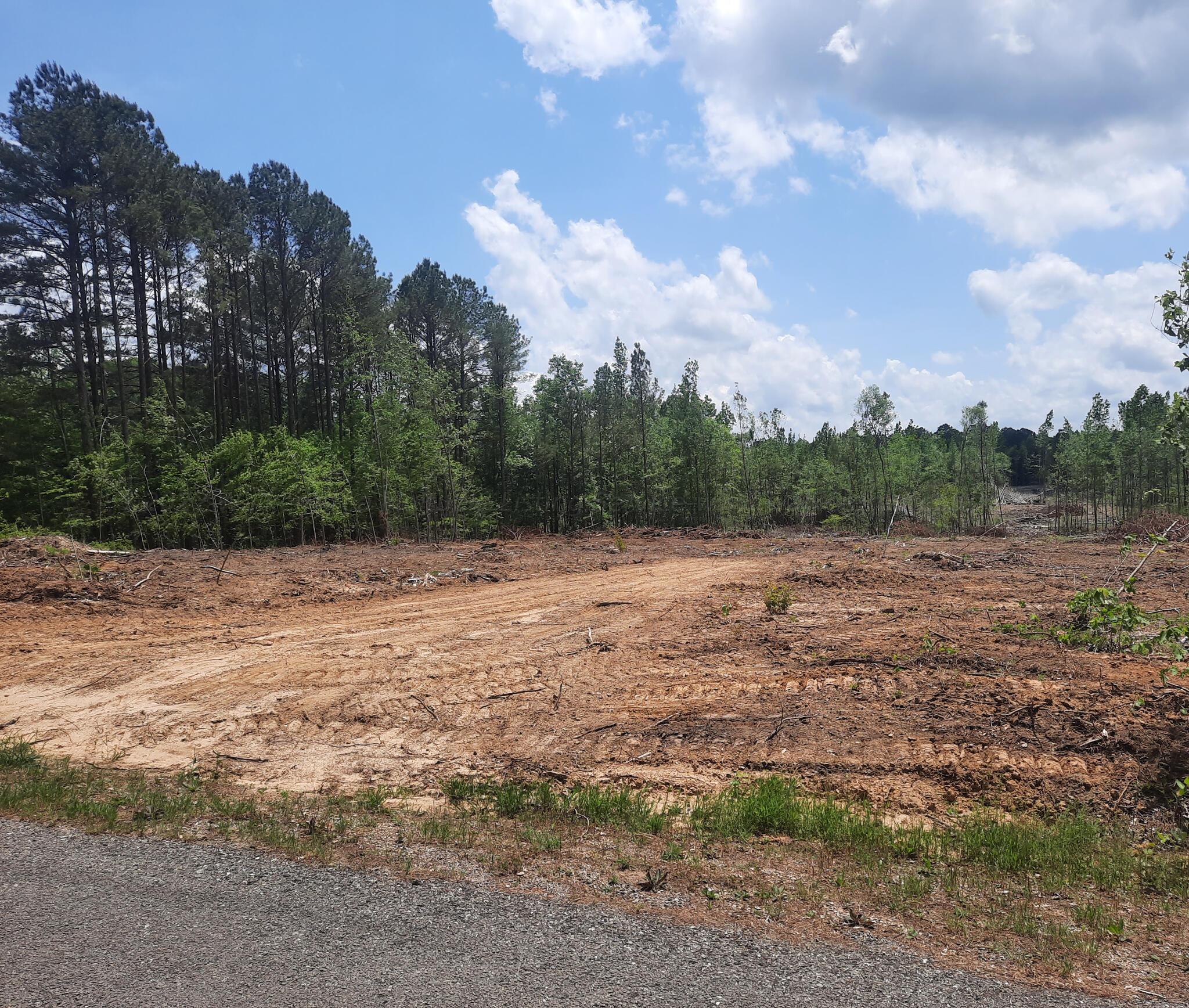 Court Road Nauvoo, AL 35578 - Photo 1 of 1 Gallery Image 1