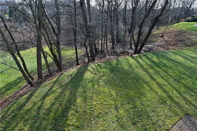 a view of a yard with a tree