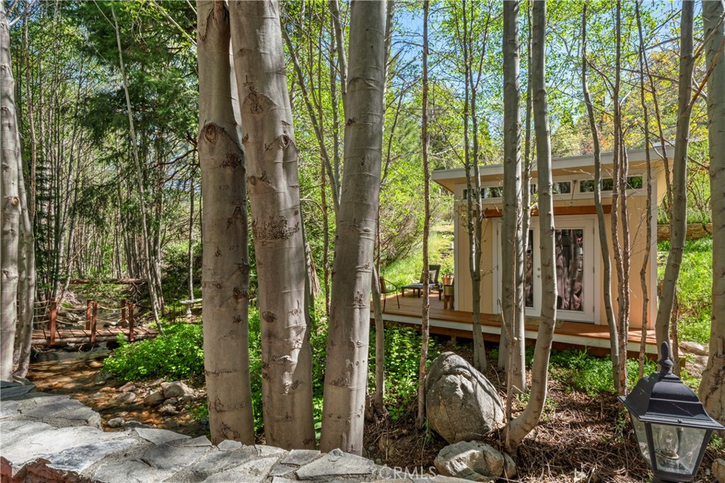 29613 Hook Creek Road Cedar Glen, CA 92321 - Photo 34 of 64