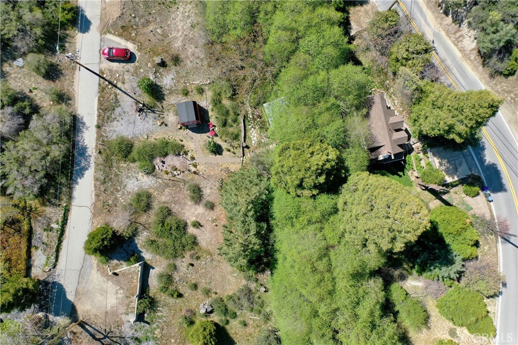 29613 Hook Creek Road Cedar Glen, CA 92321 - Photo 61 of 64