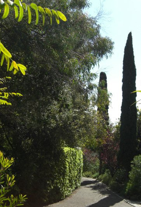 751 Via Manana Santa Barbara, CA 93108 - Photo 1 of 7 a view of a yard