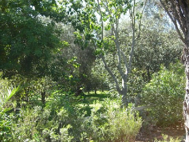 751 Via Manana Santa Barbara, CA 93108 - Photo 2 of 7 a view of a tree
