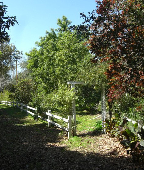 751 Via Manana Santa Barbara, CA 93108 - Photo 4 of 7 a backyard of a house with lots of green space