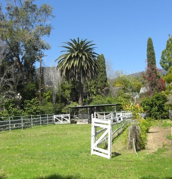 751 Via Manana Santa Barbara, CA 93108 - Photo 5 of 7 a view of a swimming pool with a garden and plants
