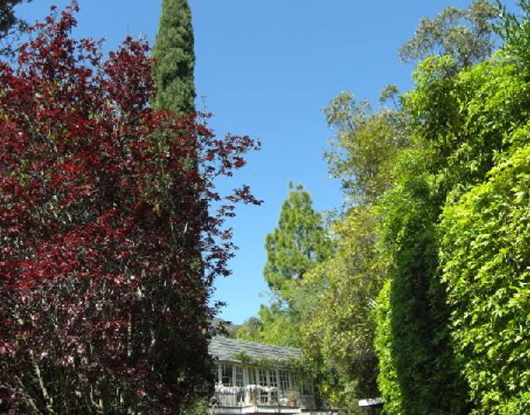 751 Via Manana Santa Barbara, CA 93108 - Photo 6 of 7 an aerial view of a house with yard