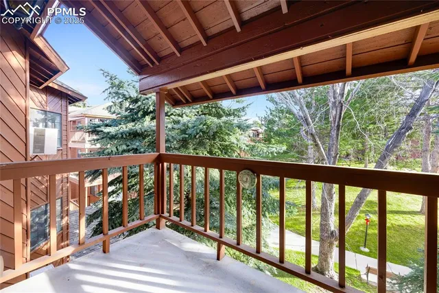 a view of a garden with a small yard