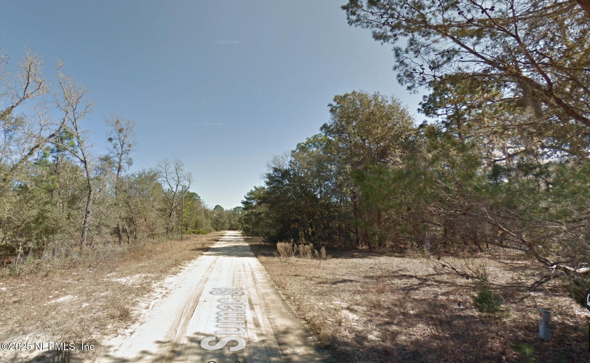 114 Sumac Street Interlachen, FL 32148 - Photo 2 of 5 Looking Right From Lot