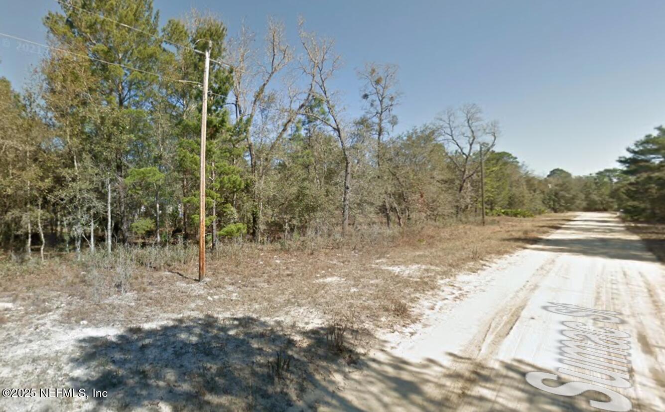 114 Sumac Street Interlachen, FL 32148 - Photo 3 of 5 Road to the Right