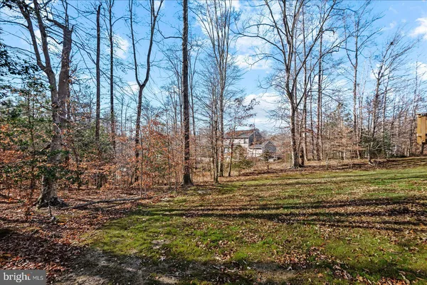 a large green field with lots of trees