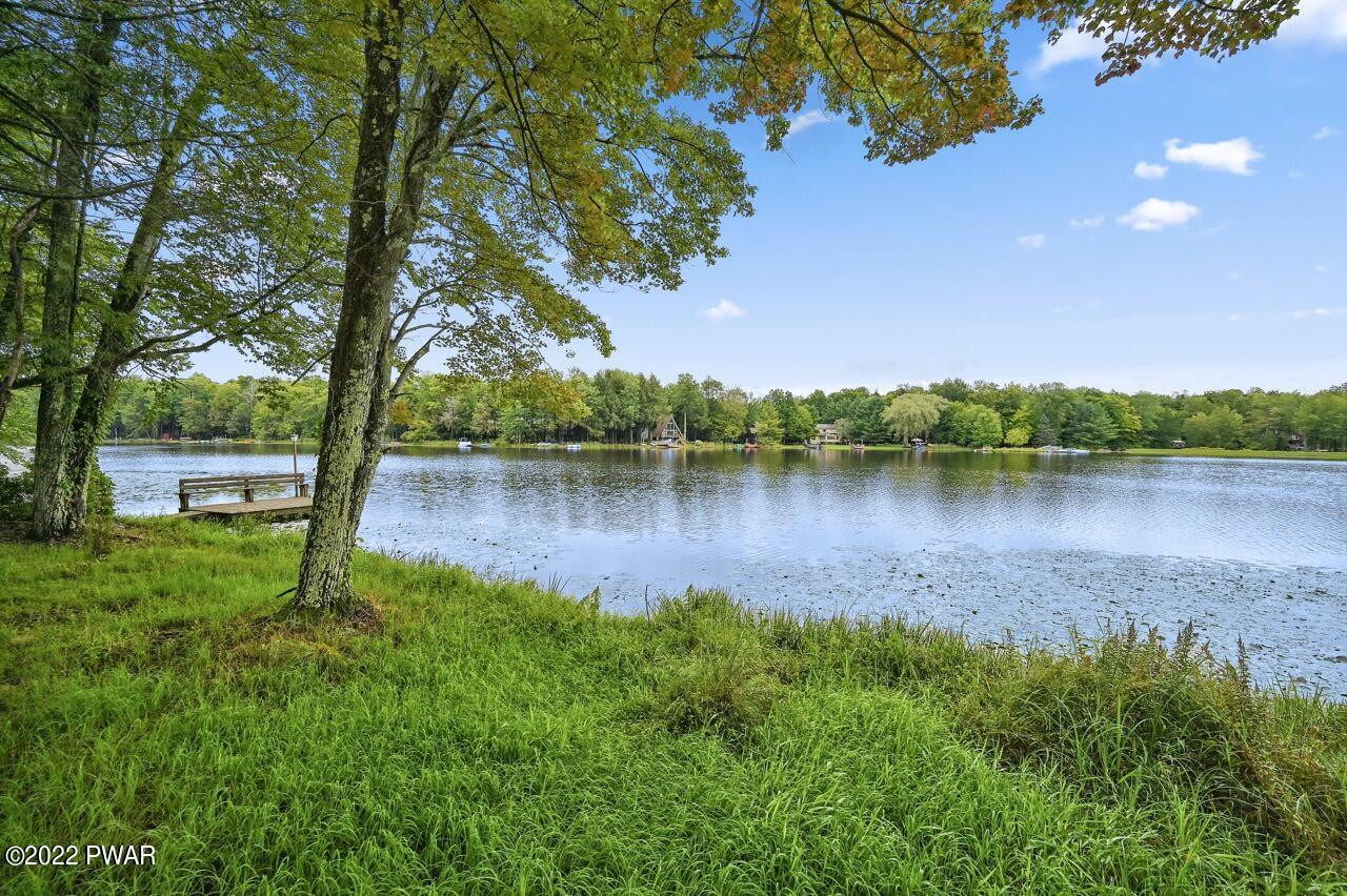 770 Deerfield Road Lake Ariel, PA 18436 - Photo 7 of 77 Serene Setting