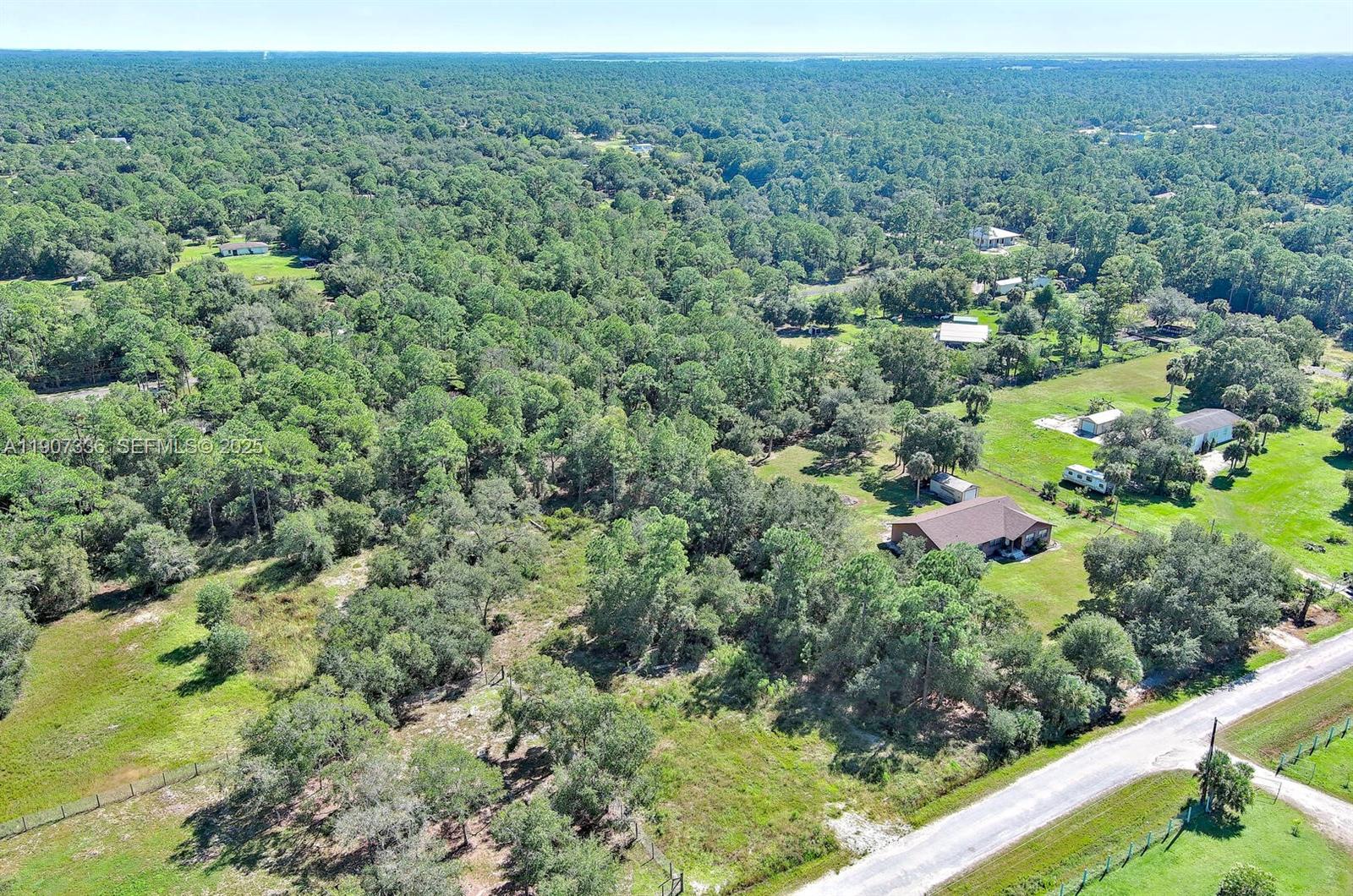 325 South Estribo Street Clewiston, FL 33440 - Photo 12 of 15 a view of a garden with a tree