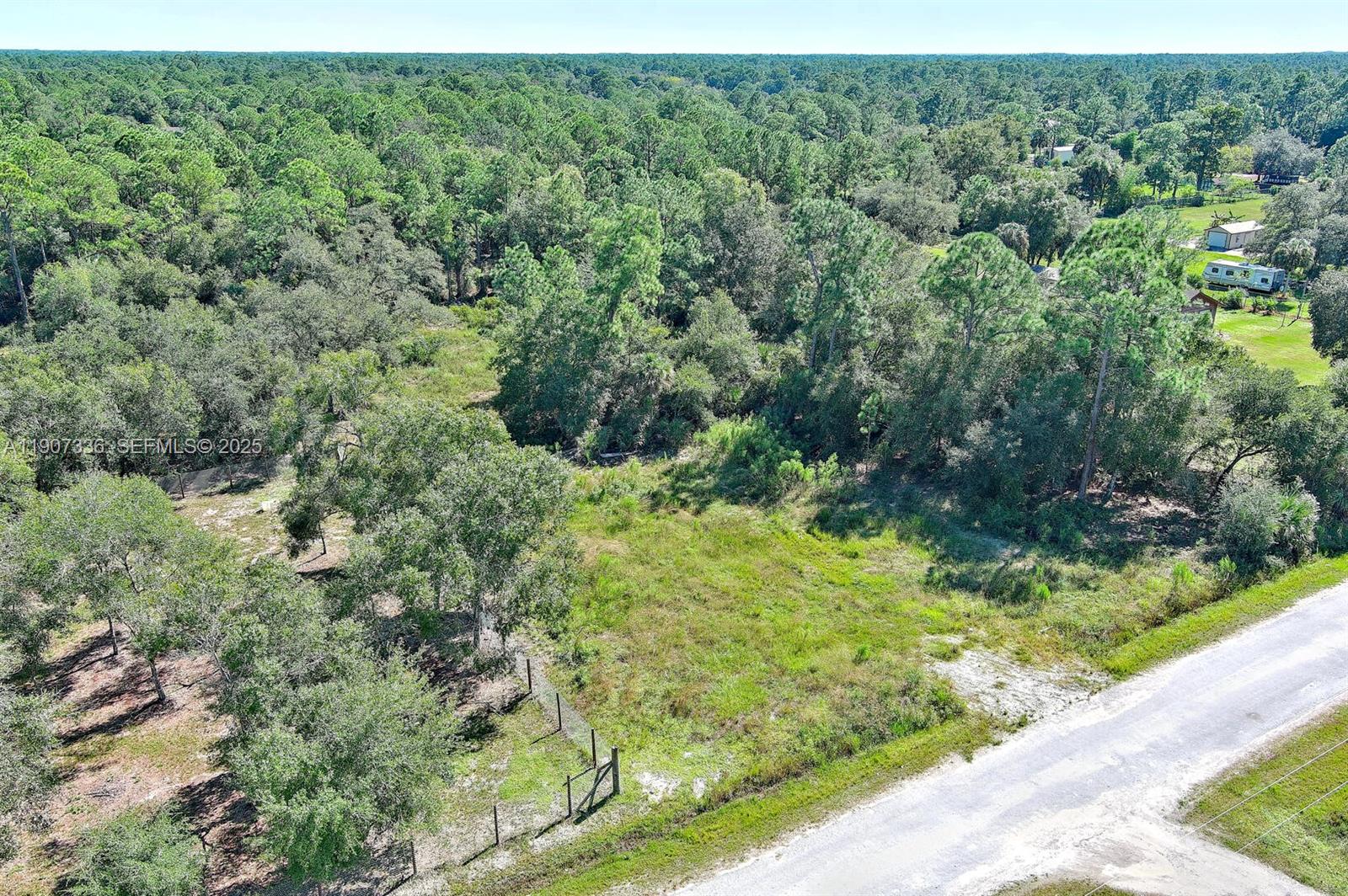 325 South Estribo Street Clewiston, FL 33440 - Photo 14 of 15 a view of a forest with a street