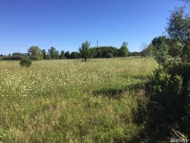 Parcel A Parcel A Ray Road Ortonville, MI 48462 - Photo 3 of 6