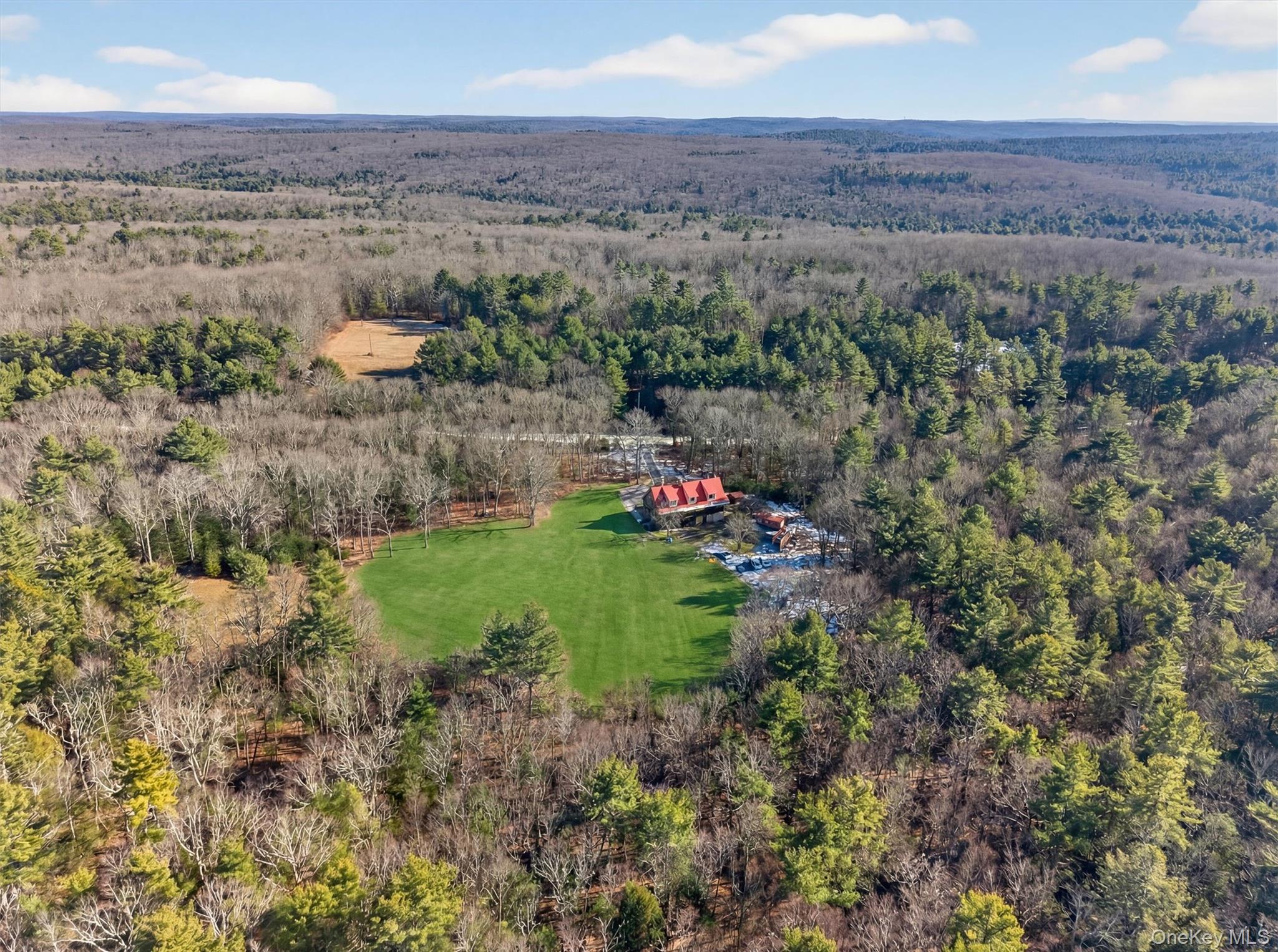125 Dexheimer Road Narrowsburg, NY 12764 - Photo 44 of 50 Aerial view of a heavily wooded area