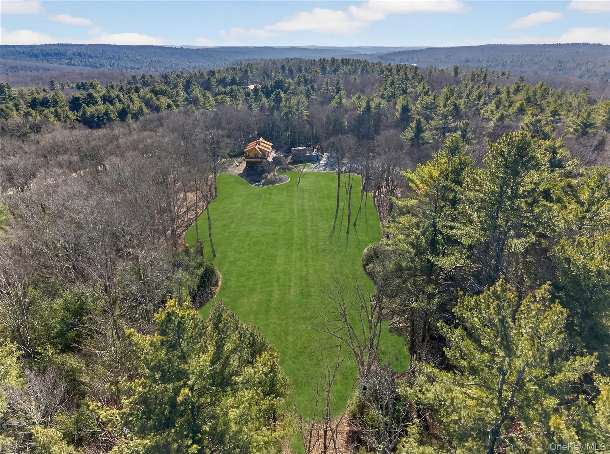 125 Dexheimer Road Narrowsburg, NY 12764 - Photo 45 of 50 Drone / aerial view of a forest