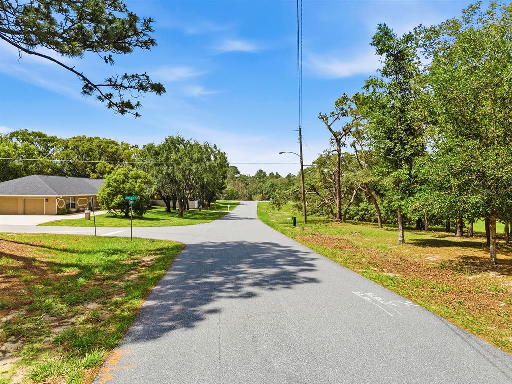1228 Staten Avenue Spring Hill, FL 34609 - Photo 9 of 12