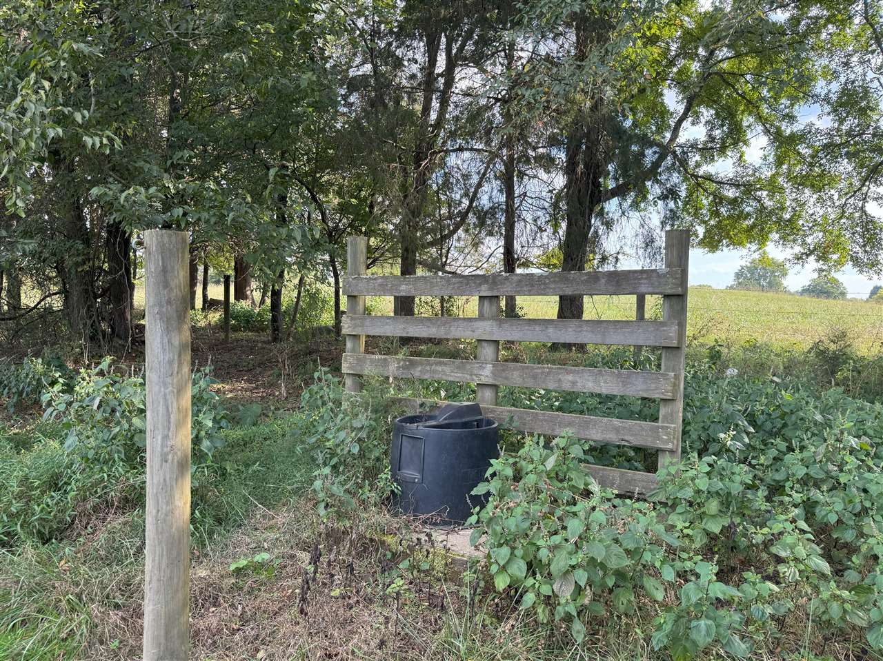 825 Friendship Church Road Scottsville, KY 42164 - Photo 19 of 32 Gallery Image 19