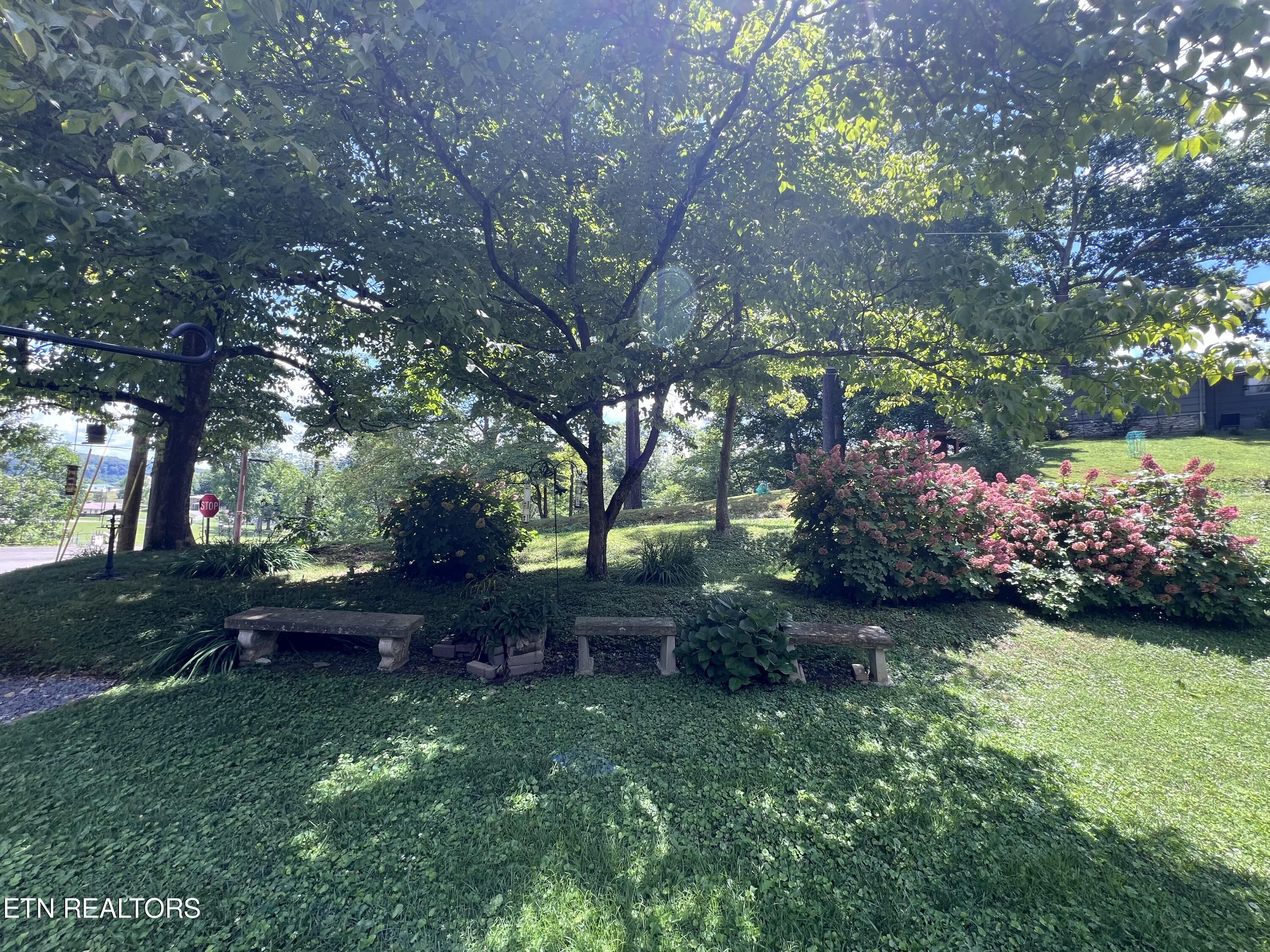 500 Englewood Road Middlesboro, KY 40965 - Photo 6 of 12 IMG_1340