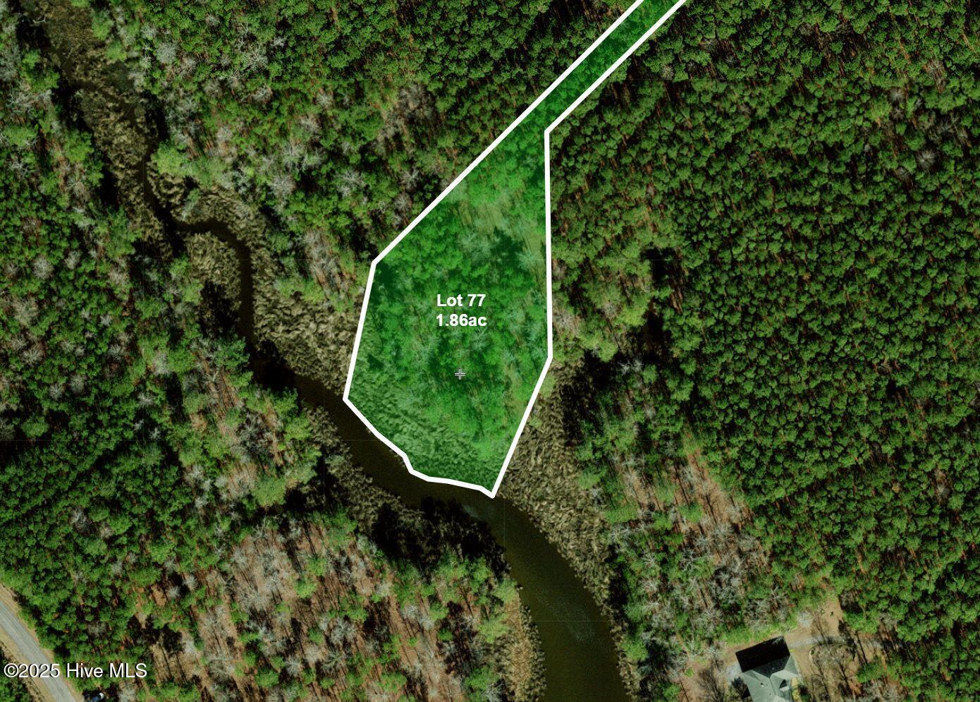 Lot 77 Mcgowan Road Bath, NC 27808 - Photo 12 of 17 Primary