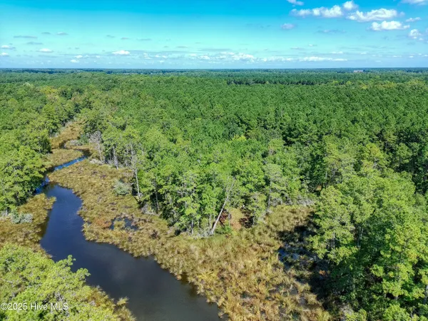 $59,900 | Lot 77 Mcgowan Road, Bath, NC 27808