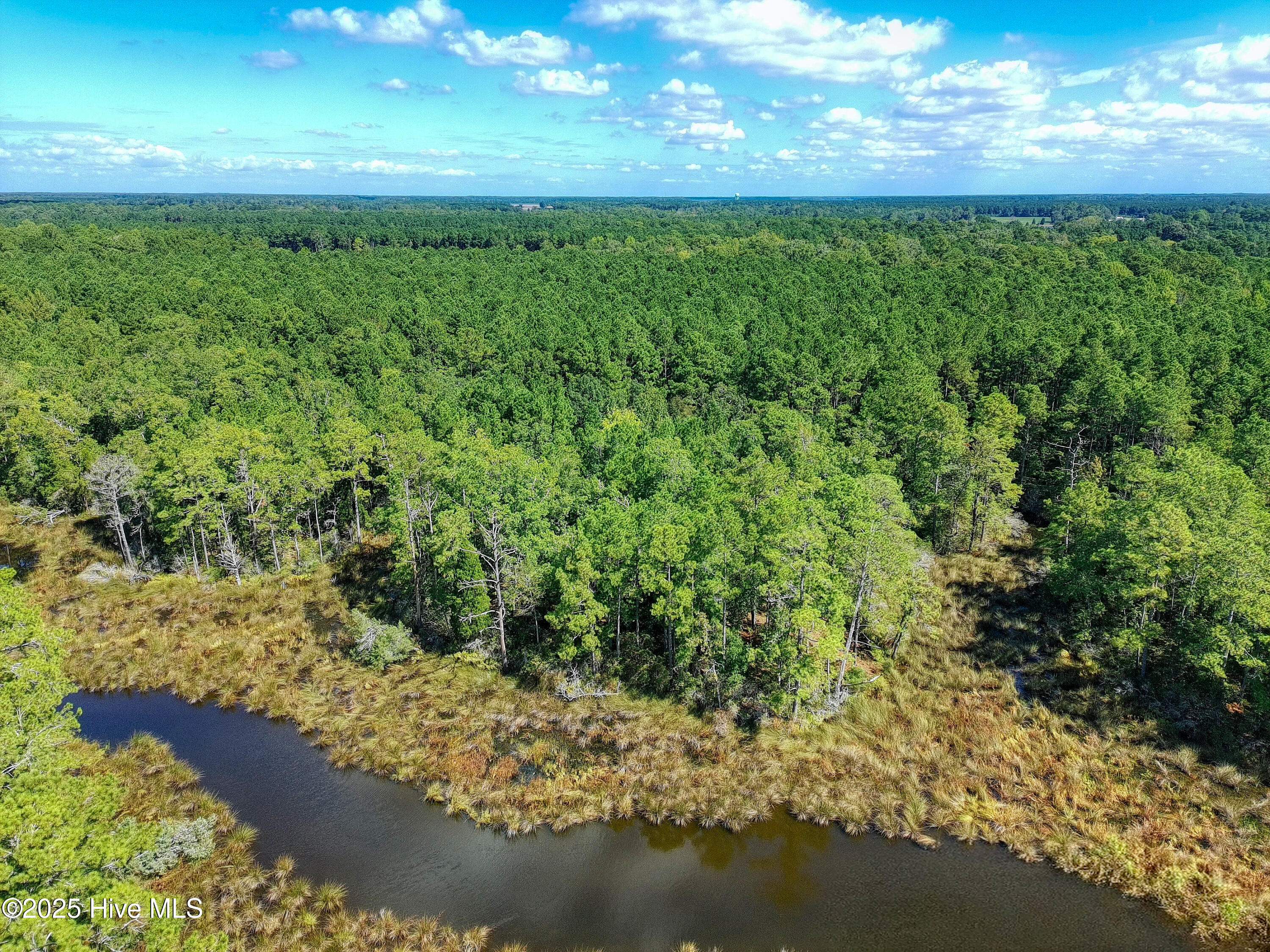 Lot 77 Mcgowan Road Bath, NC 27808 - Photo 16 of 16 PTSC_0541~2b