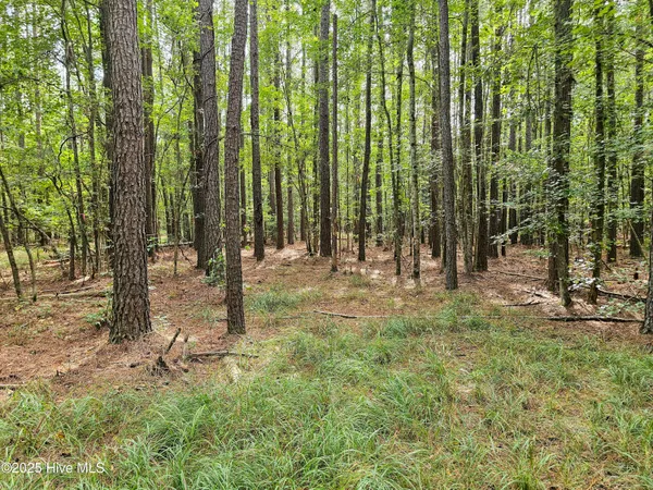 $59,900 | Lot 77 Mcgowan Road, Bath, NC 27808